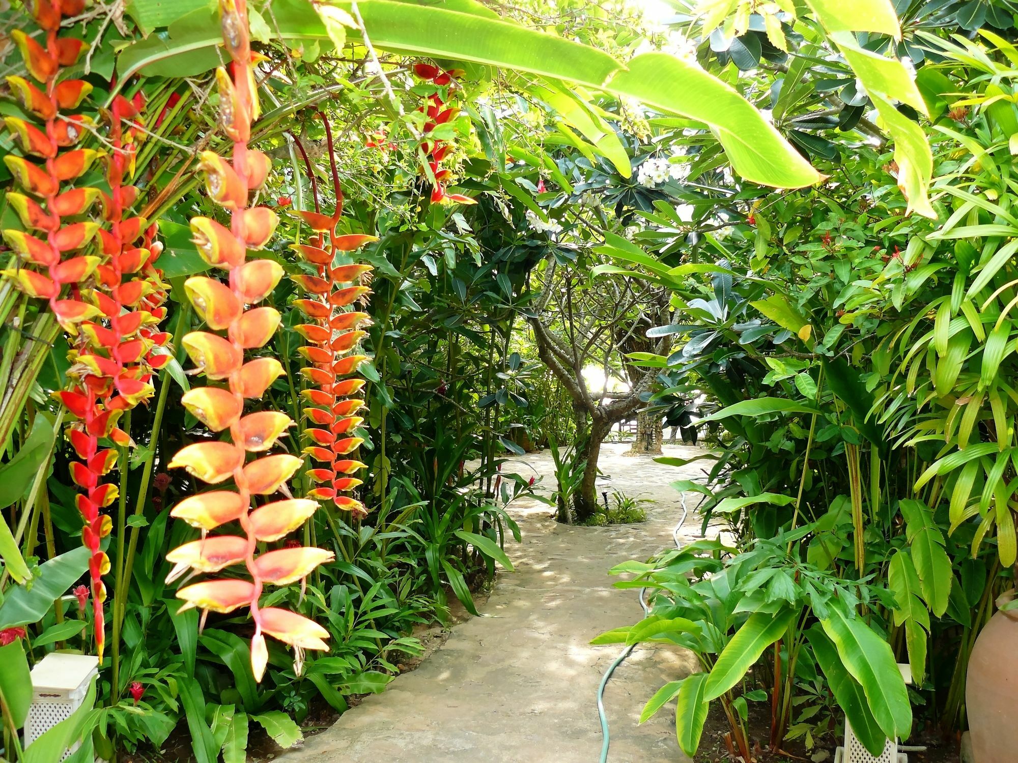 Mealea Resort Kep Exterior photo