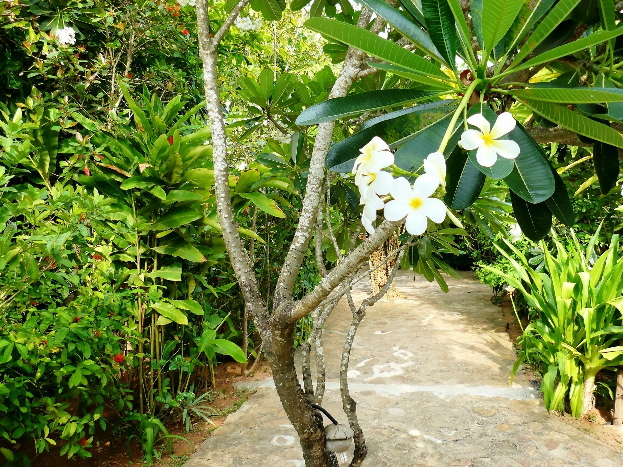Mealea Resort Kep Exterior photo