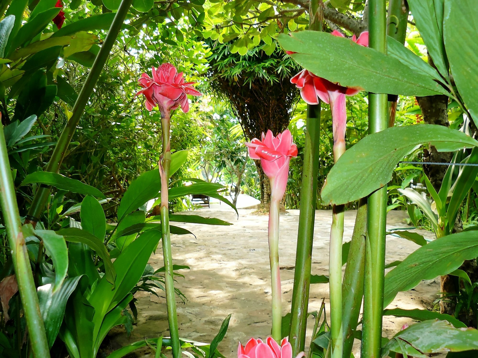 Mealea Resort Kep Exterior photo